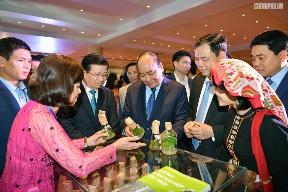 thu tuong dua viet nam tro thanh cong xuong san xuat che bien xuat khau do go cua the gioi