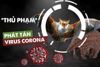 dong vat hoang da tan huong yen binh mua dich covid 19