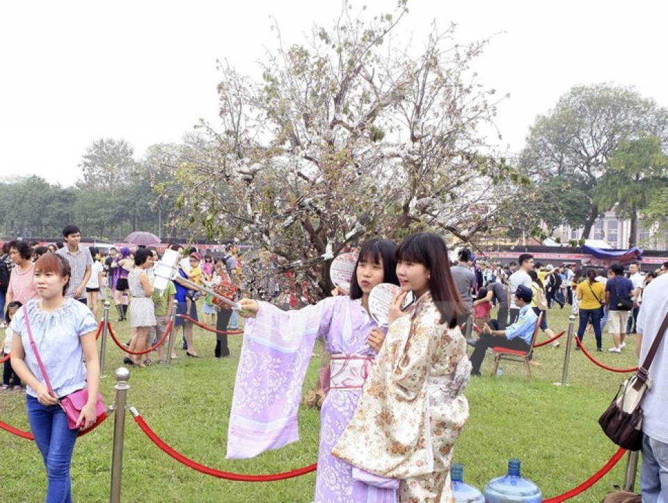 trung bay 12000 canh hoa anh dao tai tuong dai ly thai to