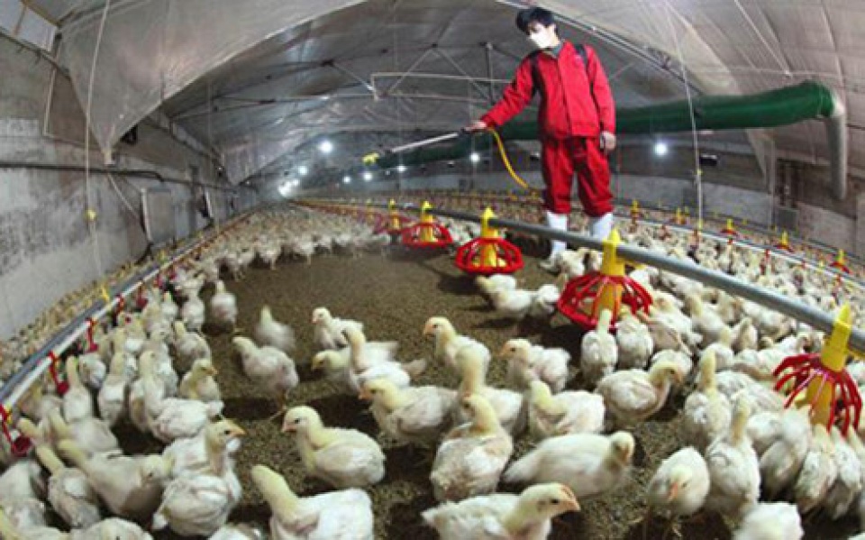 trung quoc phat hien them cac ca nhiem va tu vong do virus cum gia cam h7n9