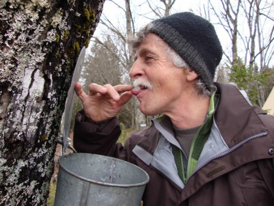 hoc o noi cach nua vong trai dat