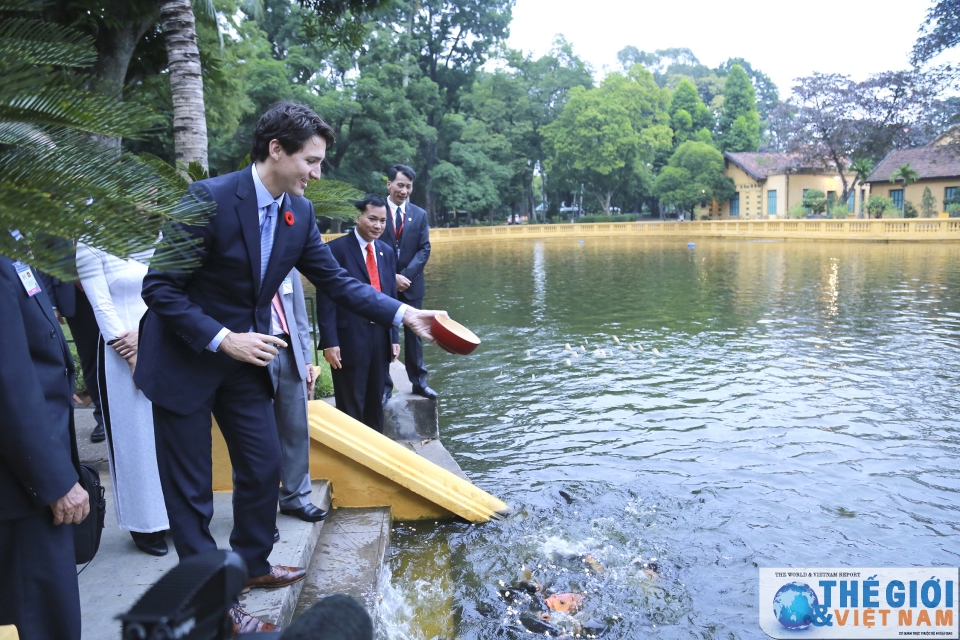 Việt Nam là đối tác quan trọng của Canada ở khu vực viet nam la doi tac quan trong cua canada o khu vuc