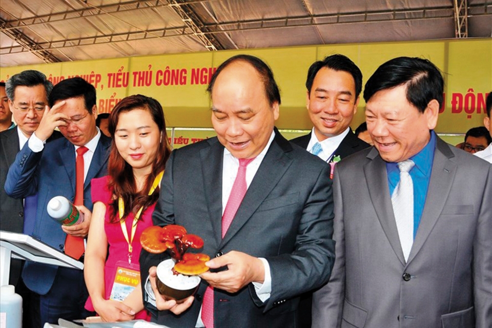 tam nhin moi cho vinh long