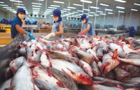 Xuất khẩu thủy sản đón cú hích từ các hiệp định thương mại tự do