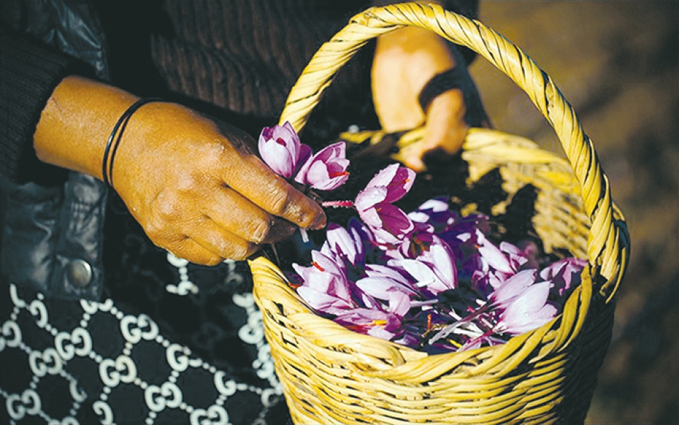 cau chuyen trong vang do cua nguoi dan morocco
