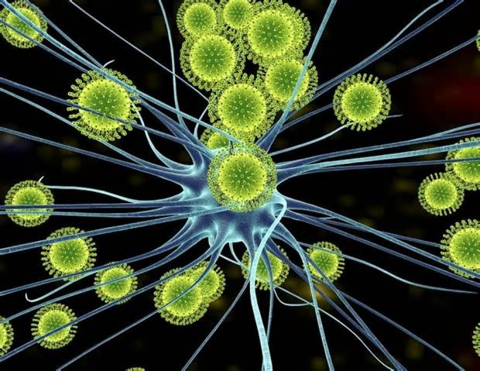 ghep gene nhu ghep hinh