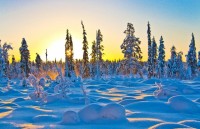 viet nam dan mach hop tac de phat trien ben vung