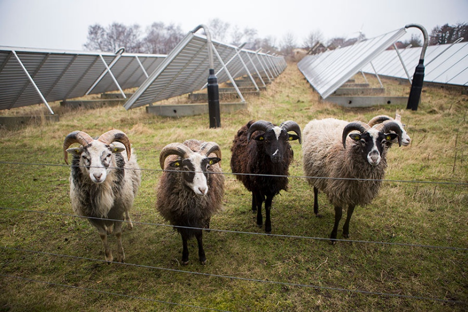 Hòn đảo “xanh” nhất thế giới hon dao xanh nhat the gioi