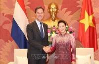 Chủ tịch Quốc hội Nguyễn Thị Kim Ngân hội kiến Thủ tướng Hà Lan