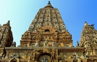 den delhi de cam nhan tam hon an ghi chep cua phong vien tgvn