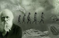 xac dinh duoc que huong cua to tien nguoi hien dai