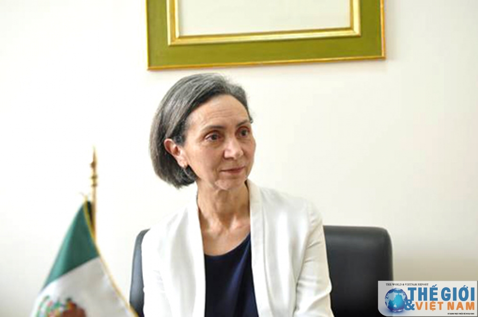 viet nam mexico ky vong phat trien manh me va nang dong hon