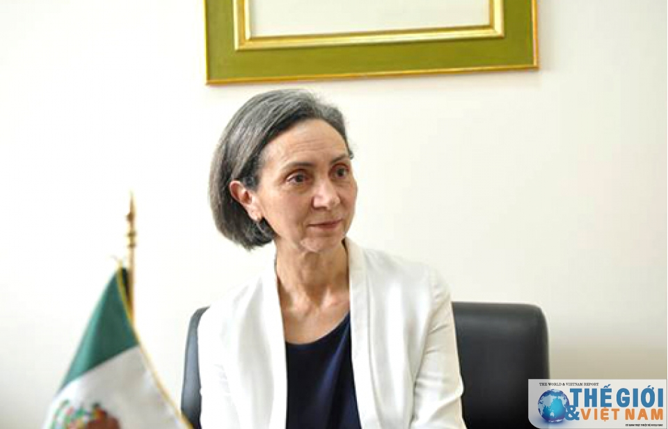 viet nam mexico ky vong phat trien manh me va nang dong hon