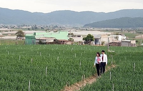 agribank mat xich quan trong trong chuoi lien ket kinh te tu nhan