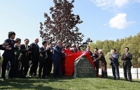 sua th true milk tu viec dat chuan hon 1300 tieu chi khat khe ve chat luong cua trung quoc den bai hoc xuat khau nong san