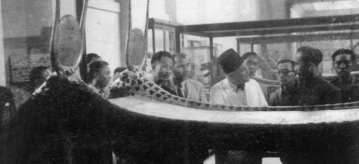 bac ho o cairo ai cap