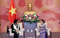 chu tich quoc hoi nguyen thi kim ngan tiep chu tich nhom nghi si huu nghi han viet