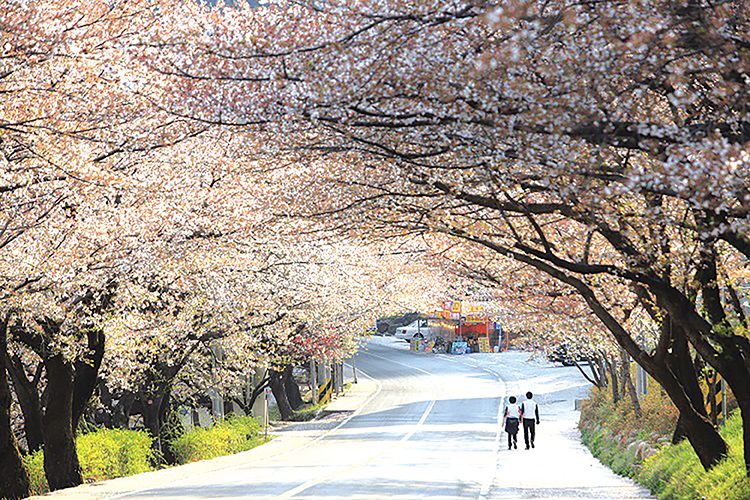 3 ty dong giai thuong cuoc thi anh relive your korea trip