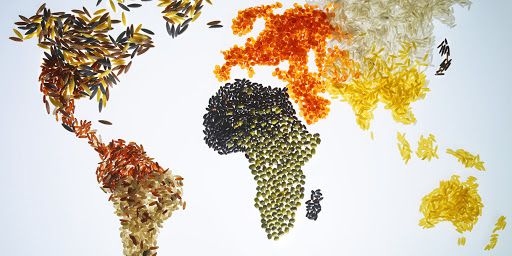 Đại dịch Covid-19 và bài toán an ninh lương thực dai dich covid 19 va bai toan an ninh luong thuc