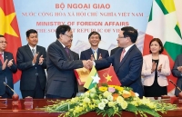 viet nam ai cap tim kiem cac giai phap dot pha thuc day hop tac song phuong sau dich covid 19