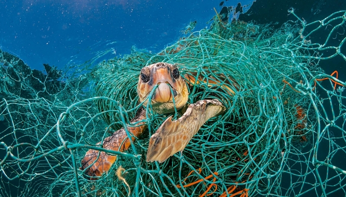 bao ve dai duong the gioi vi tuong lai loai nguoi