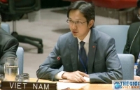 hdba thao luan mo ve chu nghia khung bo va toi pham co to chuc