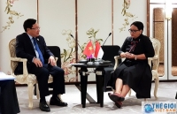 Phó Thủ tướng Phạm Bình Minh gặp Ngoại trưởng Indonesia bên lề Hội nghị Cấp cao ASEAN 34