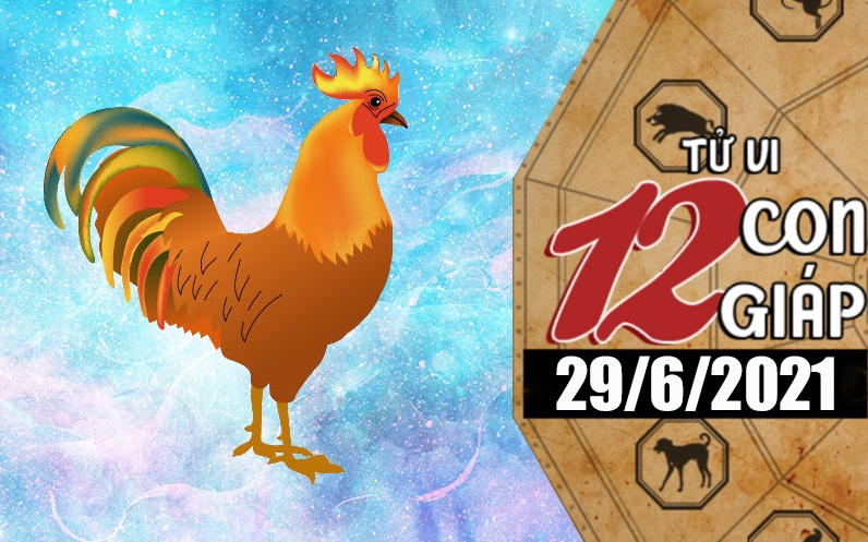 Tử vi hôm nay - Xem tử vi 12 con giáp 29/6/2021: