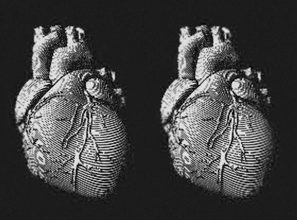 tai tao tim nguoi tu hai quy bien