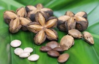 tin nhap 20180320101515