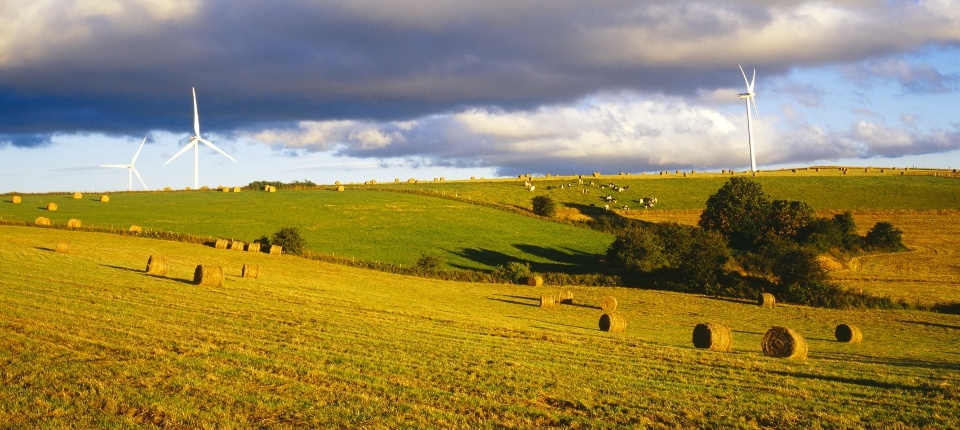 phap chong bien doi khi hau the nao