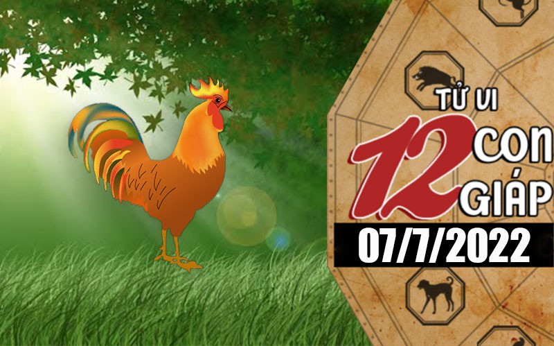 Tử vi hôm nay, xem tử vi 12 con giáp ngày 7/7/2022: Tuổi Dậu tài chính nhiều nguồn thu