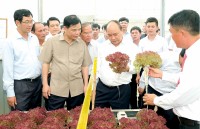 bien nang luc canh tranh cua quoc gia thanh canh tranh cua doanh nghiep