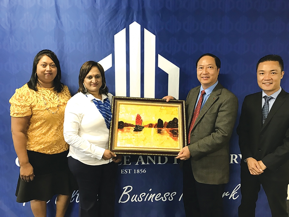 dai su vu van dung thuc day quan he nhieu mat giua viet nam voi nam phi