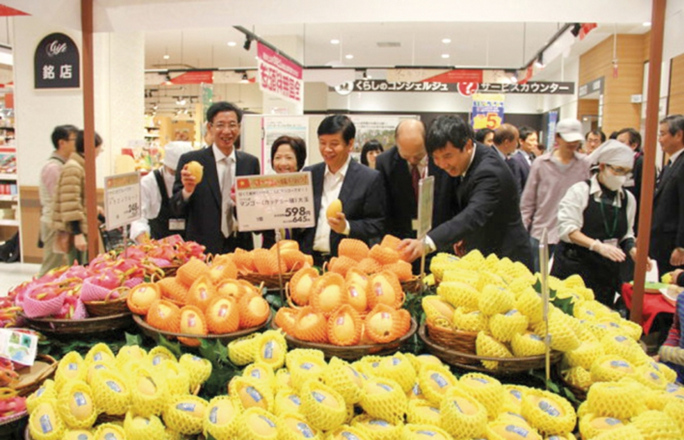 hoi nghi ngoai giao 30 doanh nghiep goi dai su tra loi