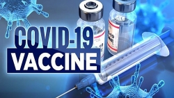 Vaccine Covid-19: Nhật Bản khẳng định có đủ vaccine cho liều thứ 3, cân nhắc tiêm kết hợp