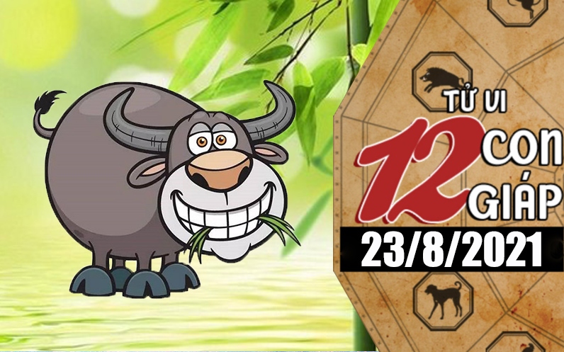 Tử vi hôm nay - Xem tử vi 12 con giáp 23/8/2021: Tuổi Sửu tìm được nửa kia, tuổi Mùi công việc được giúp đỡ Tử vi hôm nay - Xem tử vi 12 con giáp 23/8/2021: Tuổi Sửu tìm được nửa kia, tuổi Mùi công việc được giúp đỡ