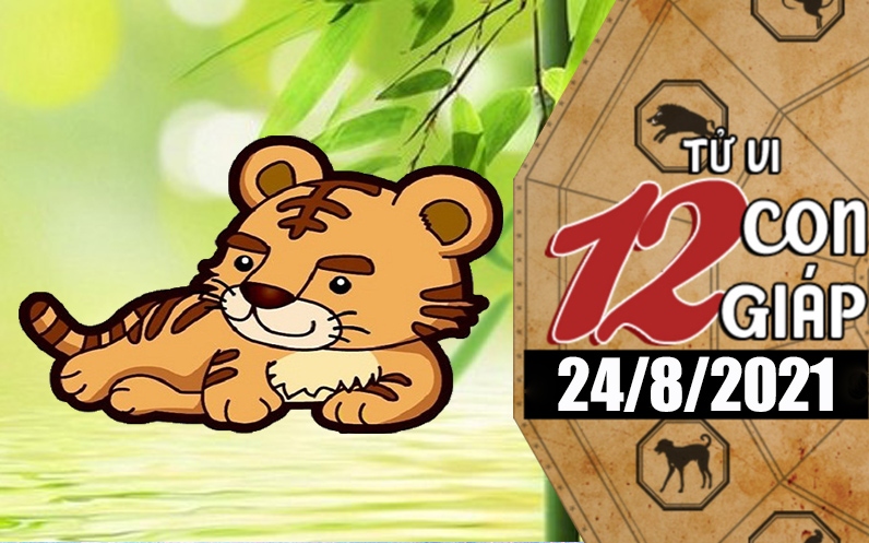 Tử vi hôm nay - Xem tử vi 12 con giáp 24/8/2021: Tuổi Dần đừng tin tưởng đối phương, tuổi Thân liên tục bị làm phiền