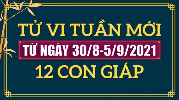 xem tử vi tuần mới 12 con giáp từ ngày 30/8 đến 5/9/2021