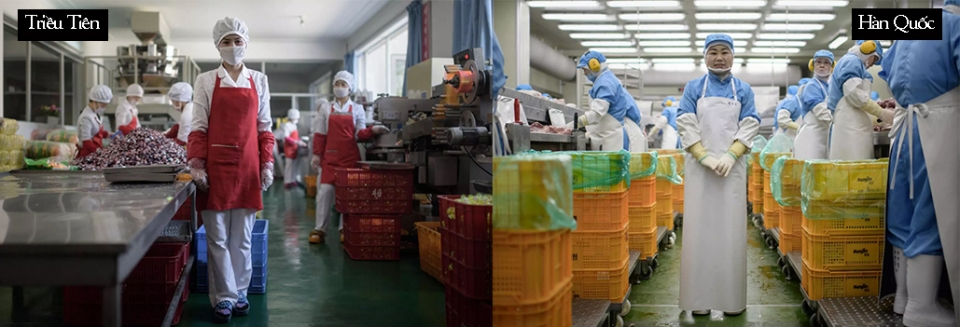 cuoc song hai mien nam bac trieu tien co gi khac nhau