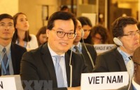 viet nam tich cuc xay dung nhieu du thao nghi quyet nhan quyen