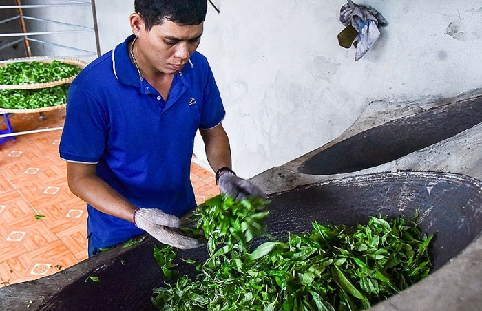 thay da doi thit o cuc bac to quoc