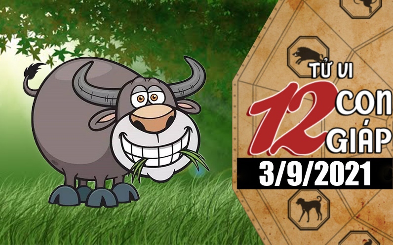 Tử vi hôm nay, xem tử vi 12 con giáp 3/9/2021: Tuổi Sửu công việc được hỗ trợ, tuổi Tuất hàn gắn tình cảm