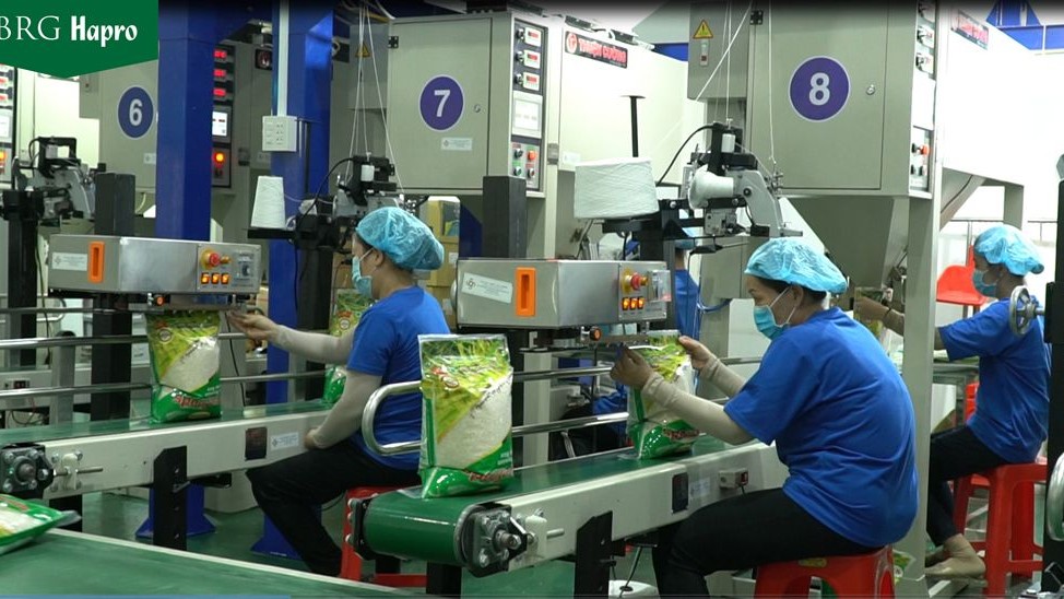 xuat khau ngay 12166 xuat khau giam viet nam van xuat sieu an tuong vai thanh hoa len duong sang nhat ban va anh