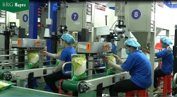 Xuất khẩu ngày 12-16/6: Xuất khẩu giảm, Việt Nam vẫn xuất siêu ấn tượng; vải Thanh Hoá 'lên đường' sang Nhật Bản và Anh