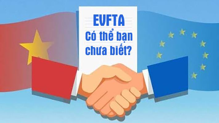 trac nghiem ve hiep dinh evfta co the ban chua biet