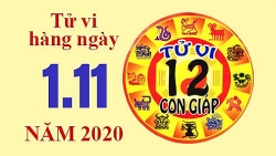 Tử vi hàng ngày - Xem tử vi vui 12 con giáp ngày Chủ nhật 1/11/2020