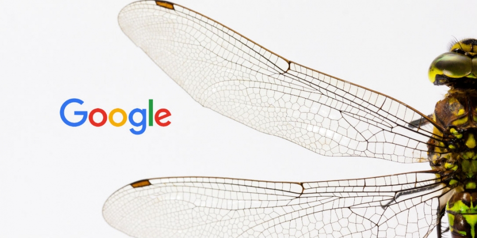 chuon chuon trung quoc khien google chao dao