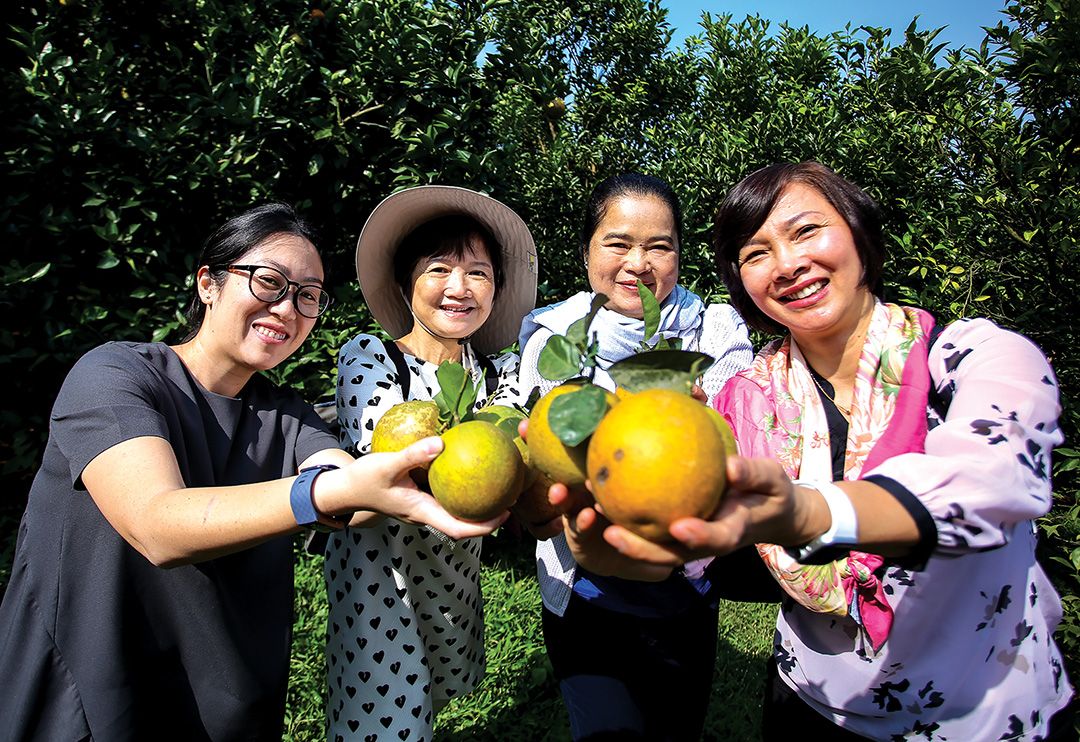 nhom phu nu cong dong asean lac giua mua cam