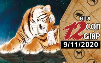 tu vi hom nay xem tu vi vui 12 con giap ngay 911